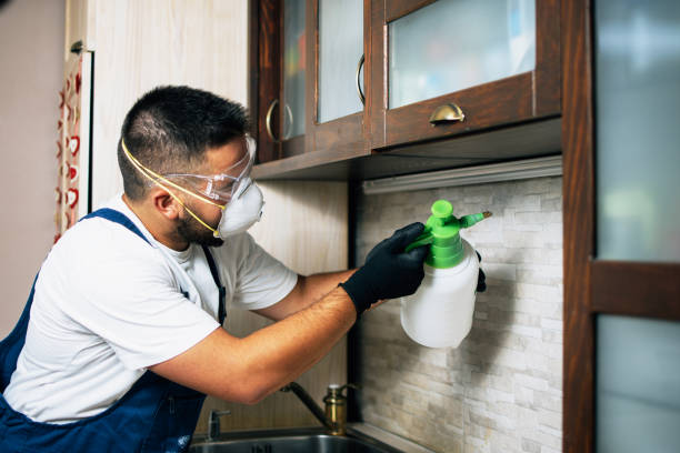 Best Commercial Pest Control Services  in Bodfish, CA