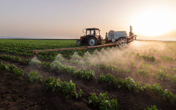 Professional Pest Control in Bodfish, CA