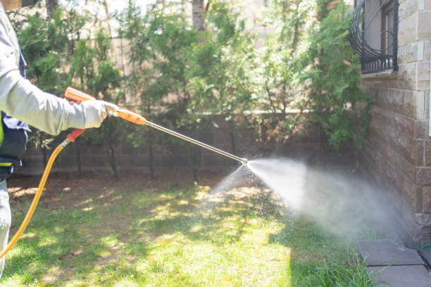 Best Affordable Pest Control Services  in Bodfish, CA