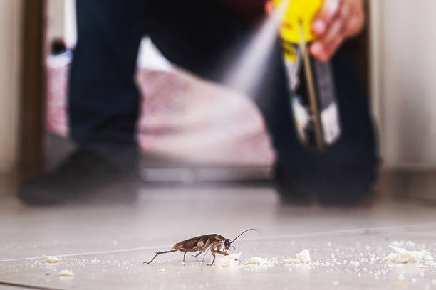 Best Commercial Pest Control Services  in Bodfish, CA
